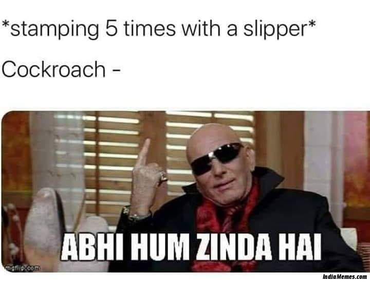 Stamping 5 times with a slipper Le cockroach Abhi hum zinda hai meme.jpg