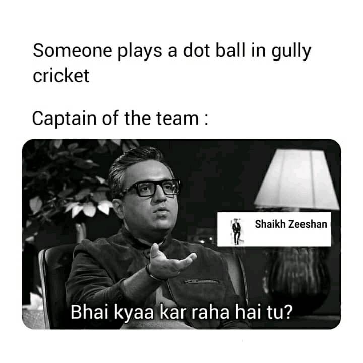 Somone plays a dot ball in gully cricket. Captain of the team meme.jpg