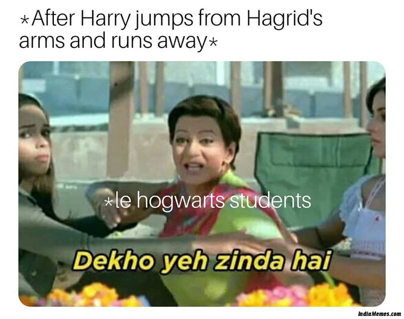 After Harry jumps from Hagrids arms and runs away Le Hogwarts students Dekho yeh zinda hai meme.jpg