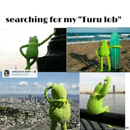 Searching for my turu lob meme.jpg
