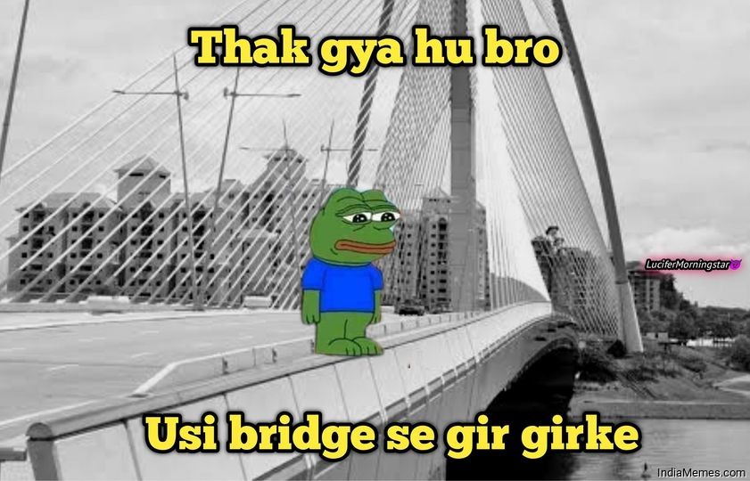 Thak gya hu bro Usi bridge se gir girke meme.jpg