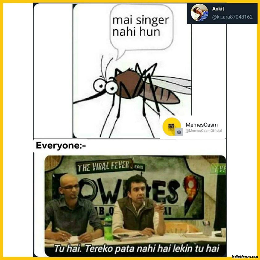 Mai singer nahi hu Tu hai lekin tere ko pata nahi hai lekin tu hai meme.jpg