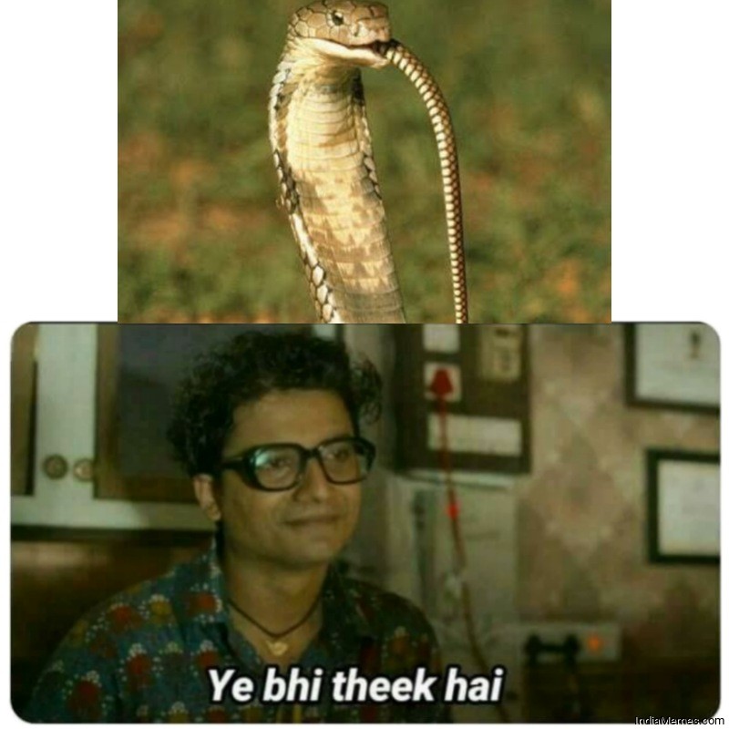 Snake eating other snake Ye bhi theek hai meme.jpg