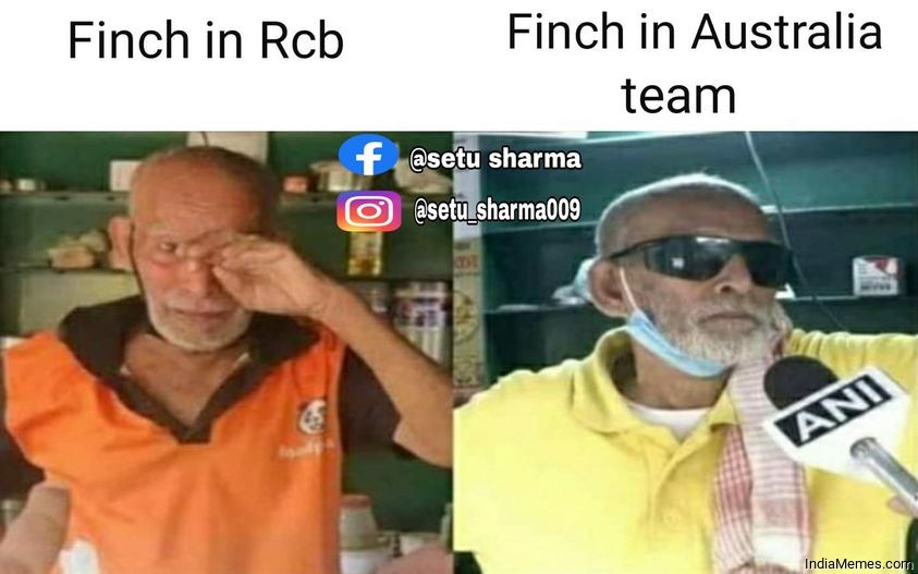 Finch in RCB vs Finch in Australia team meme