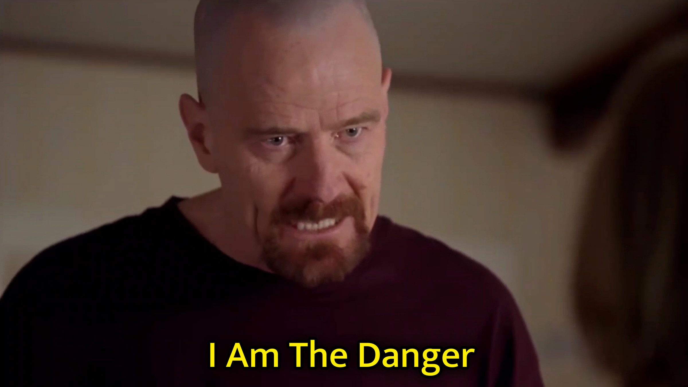 I Am The Danger Meme Template
