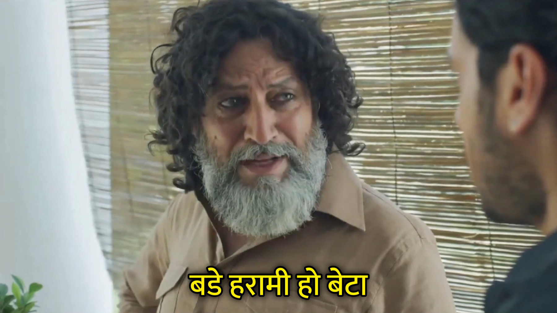 Bade Harami Ho Beta