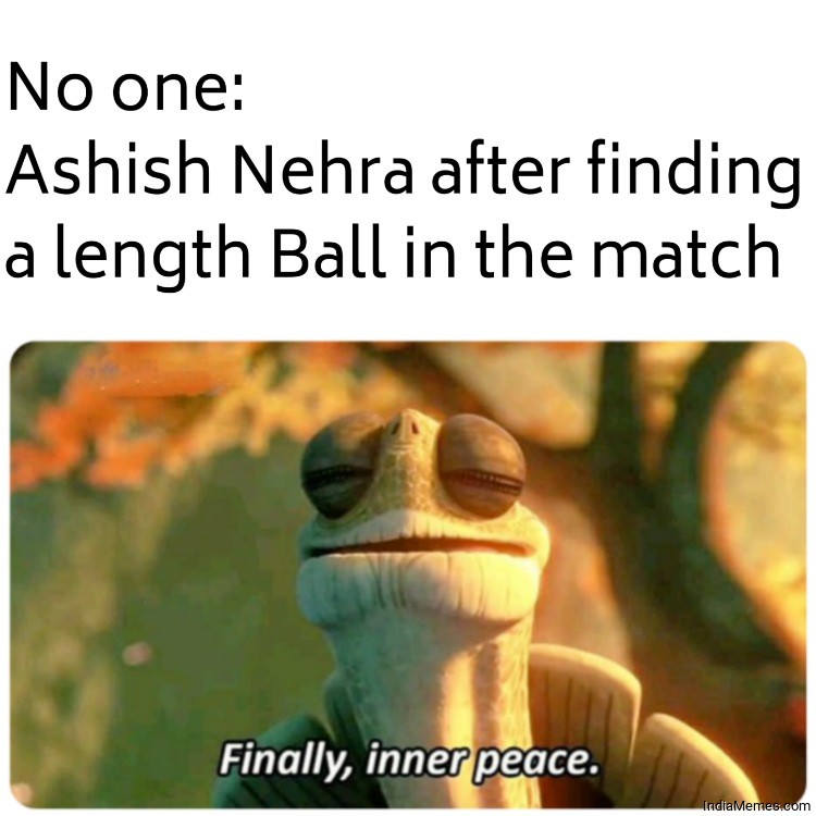 No one Ashish Nehra after finding a length ball in the match meme
