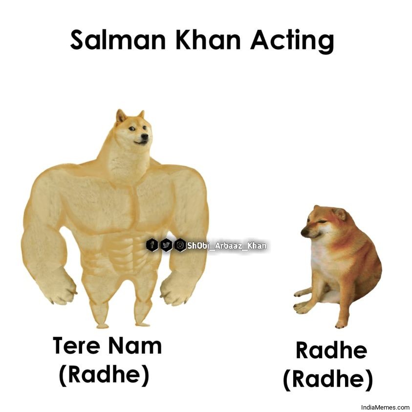 Salman Khan acting Radhe in Tere Naam vs Radhe in Radhe meme