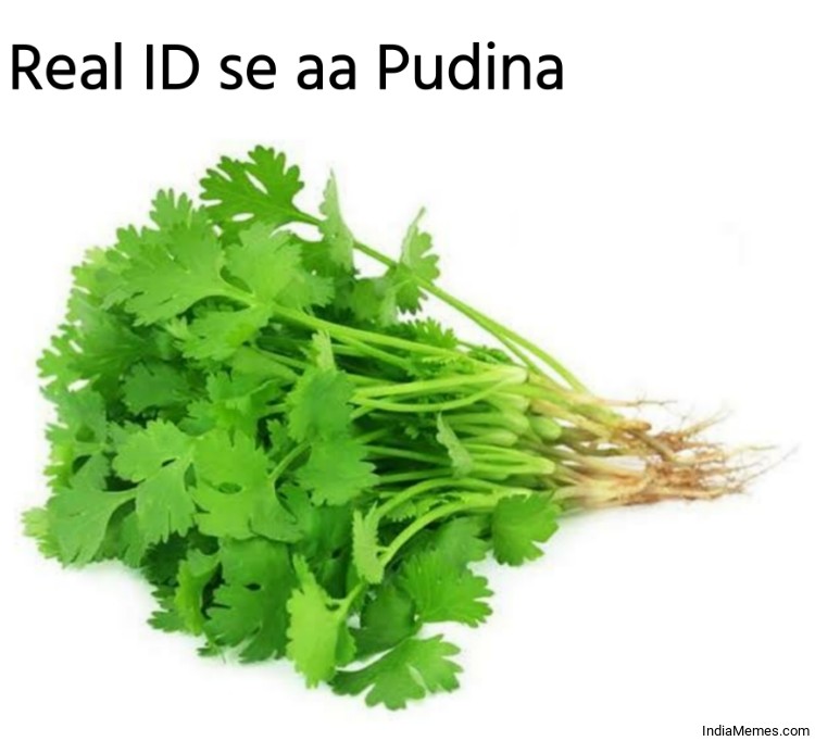 Real ID se aa Pudina meme