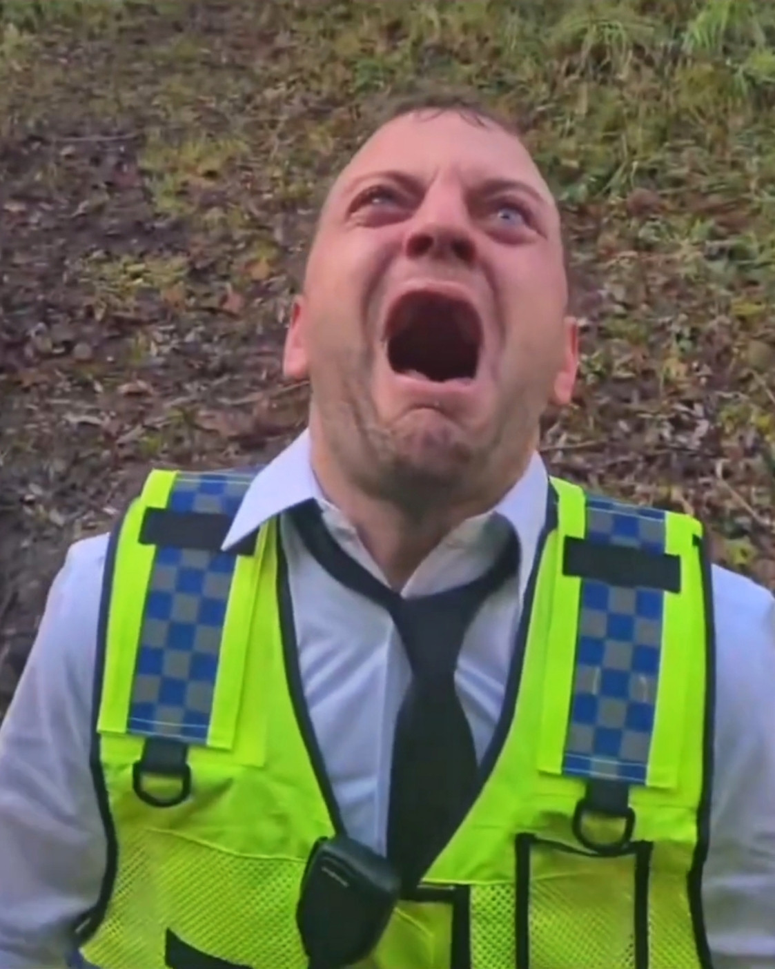 Screaming Cop Meme Template