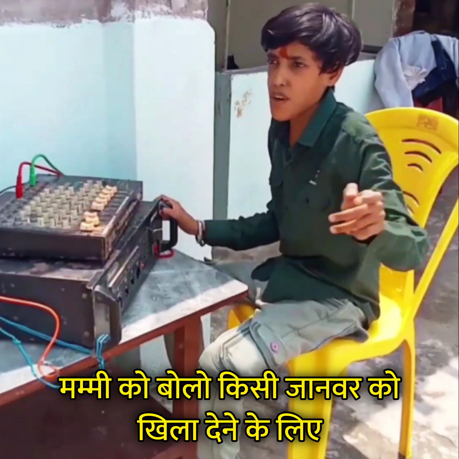 Mummy Ko Bolo Kisi Janwar Ko Khila Dene Ke Liye Hindi Meme Template Image
