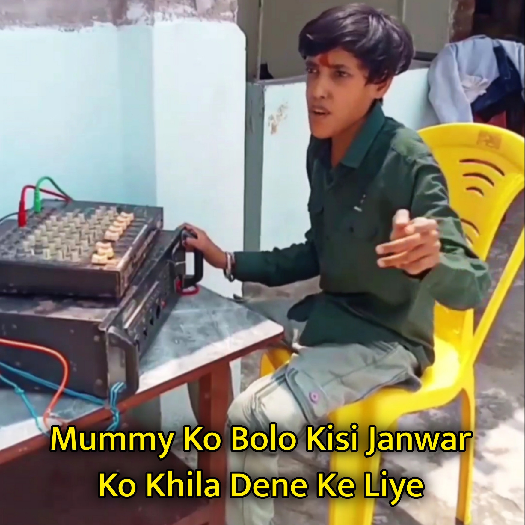 Mummy Ko Bolo Kisi Janwar Ko Khila Dene Ke Liye Meme Template